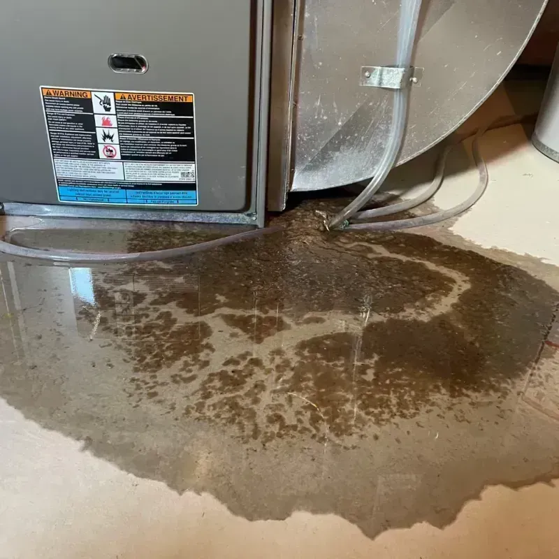 Appliance Leak Cleanup in Crestwood, KY